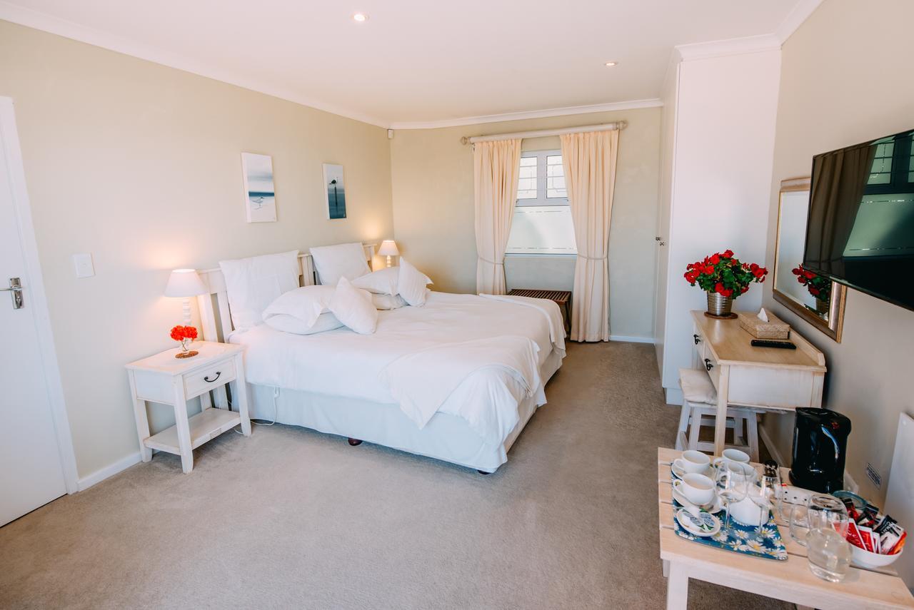 Dolphins' Playground Beachfront B&B Plettenbergbaai Kamer foto