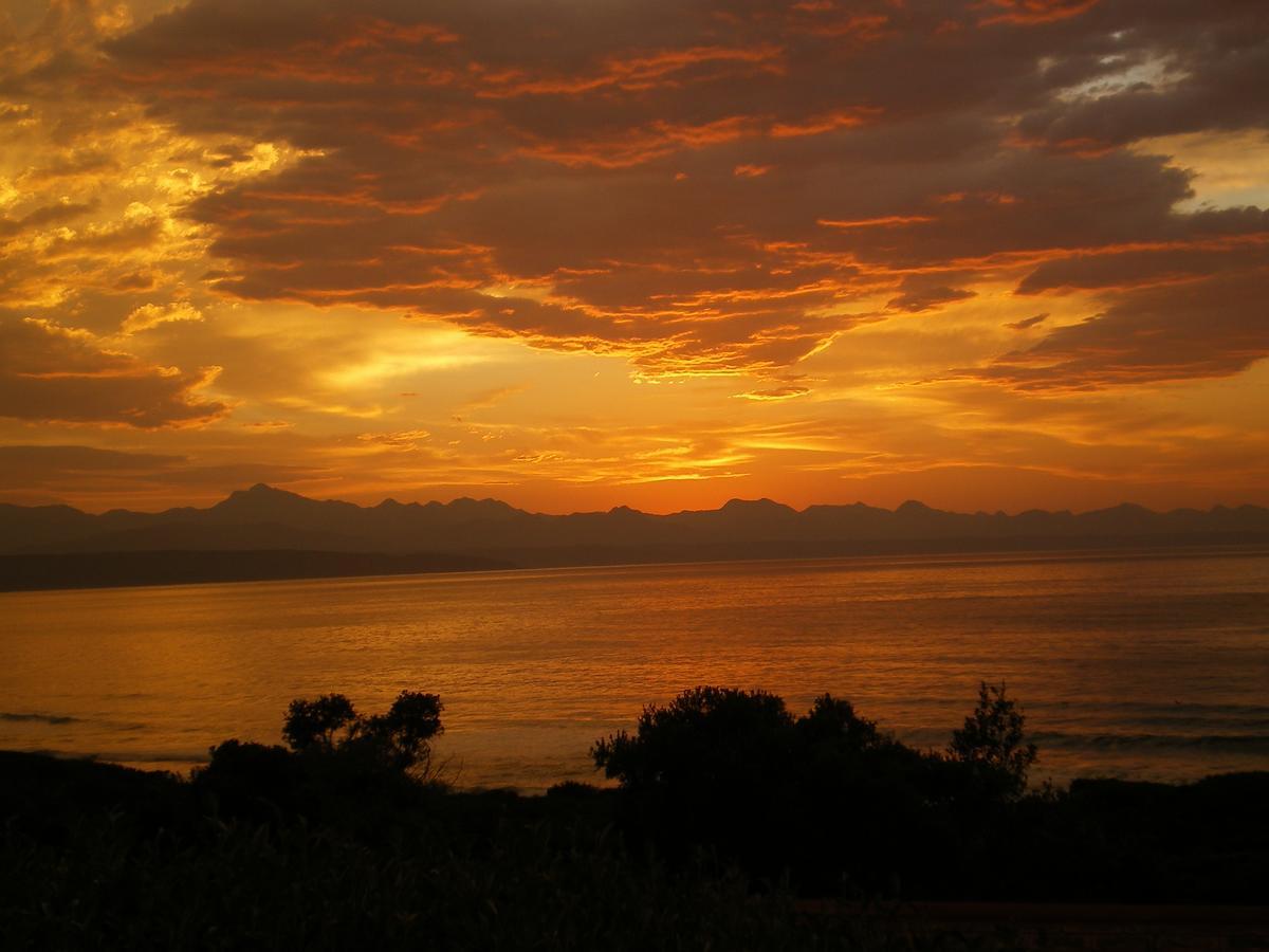 Dolphins' Playground Beachfront B&B Plettenbergbaai Buitenkant foto